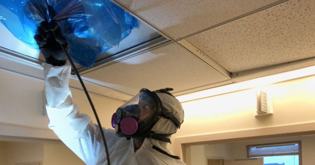 Pure Air Duct Cleaning: Trusted HVAC & Duct Services for a Healthier Home