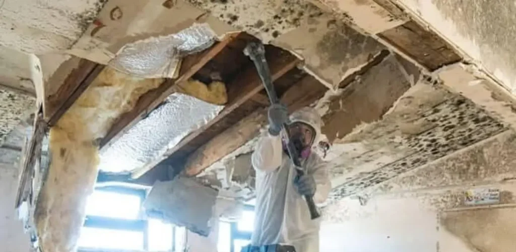 Indoor Air Solutions in Atlanta for Mold