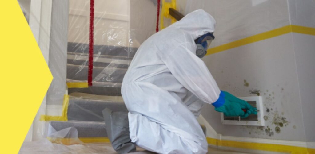 Indoor Air Solutions in Atlanta for Mold