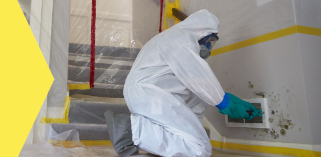 Indoor Air Solutions in Atlanta for Mold