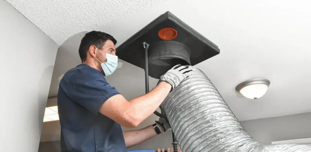 Indoor Air Solutions in Atlanta for Mold