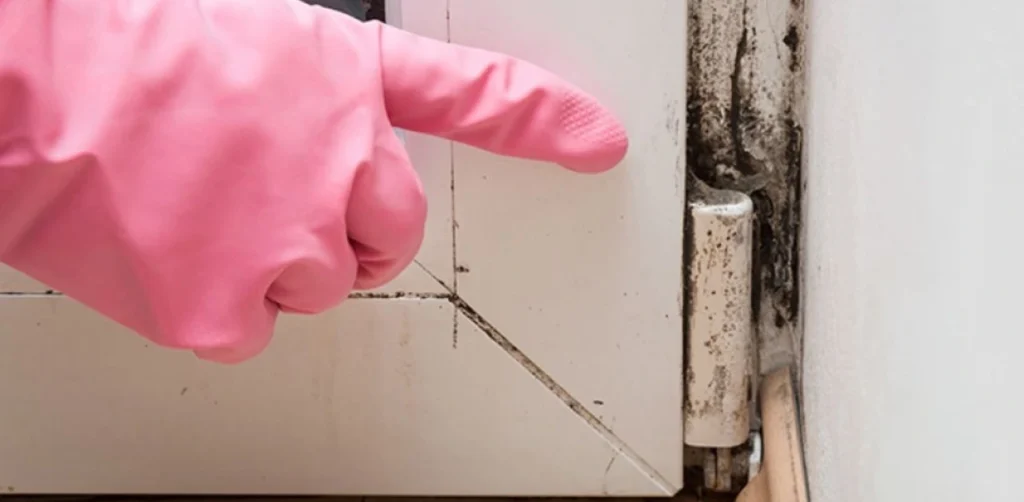 Indoor Air Solutions in Atlanta for Mold