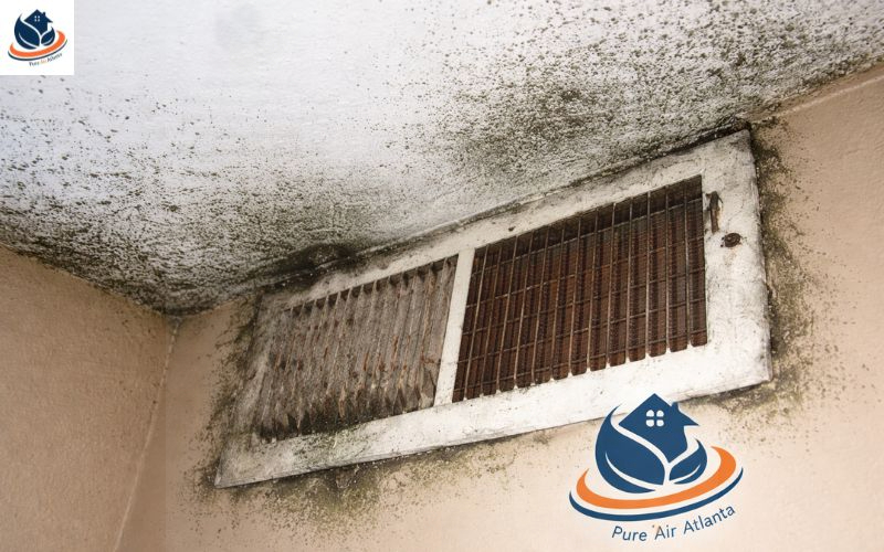 black mold in air ducts Tips