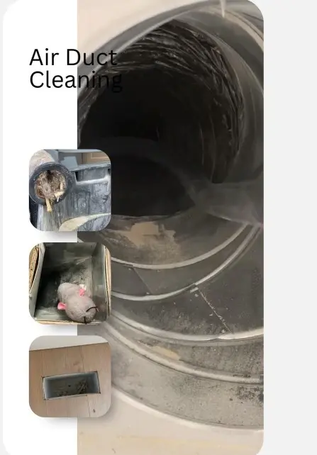 7 Signs You Need Duct Cleaning Roswell Homes 3 SIGNS YOU NEED DUCT CLEANING IN ROSWELL HOMES — Pure Air Atlanta