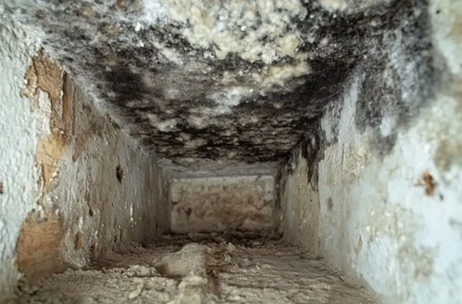 7 Signs You Need Duct Cleaning Roswell Homes 1 Duct cleaning Roswell homes technician inspecting air ducts