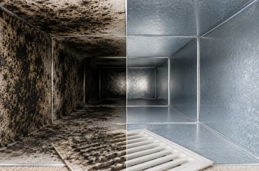 (678) 235-3388 black mold vs regular mold air ducts guide for Roswell homeowners